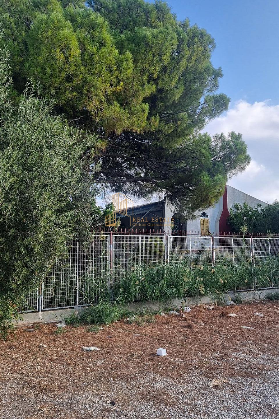 property-img