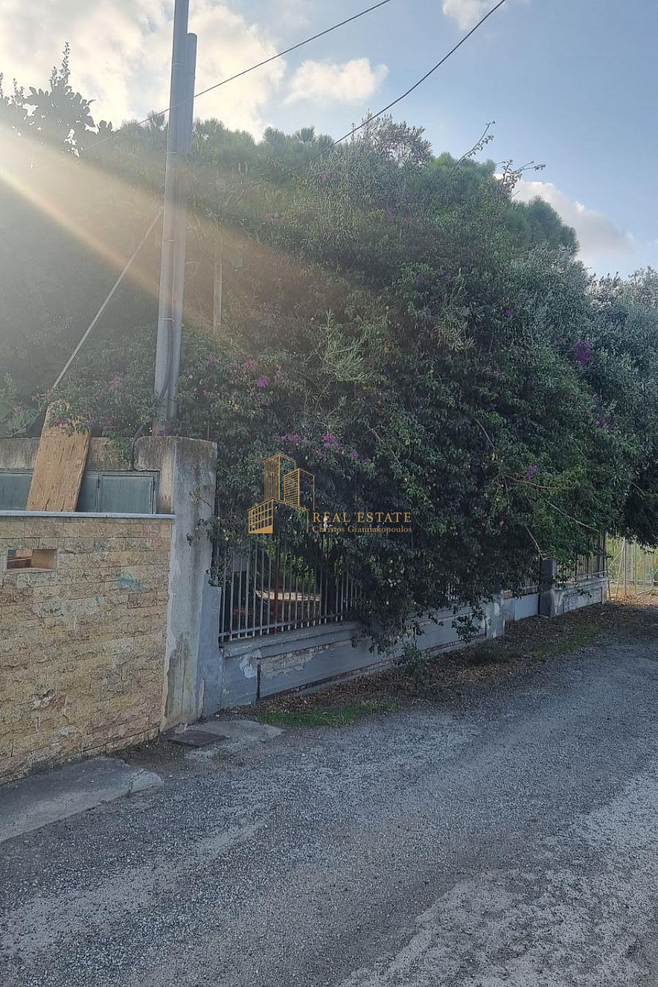 property-img