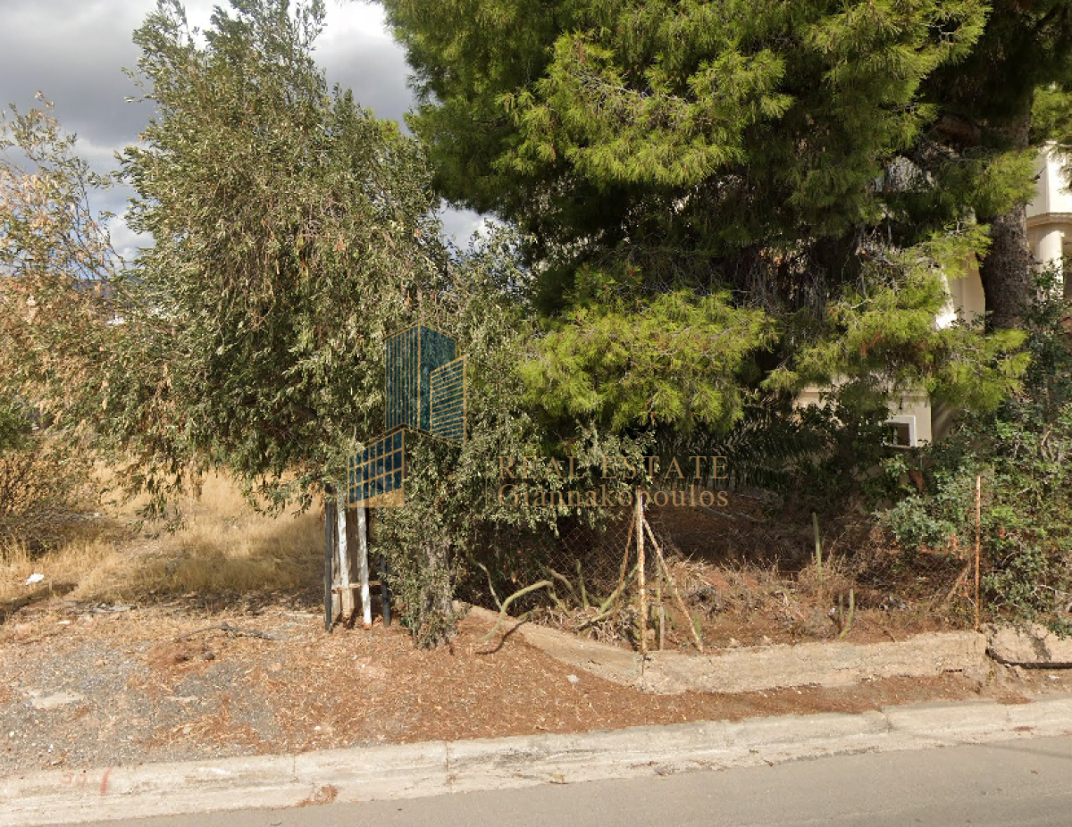 property-img