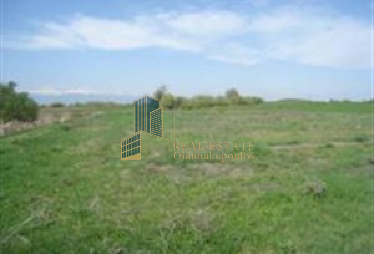 property-img