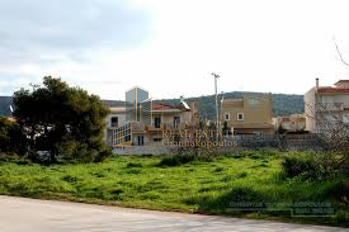 property-img