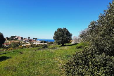 ΠΩΛΗΣΗ ΜΟΝΟΚΑΤΟΙΚΙΑΣ ΣΤΗ ΣΑΡΩΝΙΔΑ ΑΤΤΙΚΗΣ