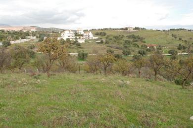 LAND FOR SALE 9000 M2 IN VARI ATTICA GREECE