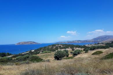 SALE OF A 7000 Μ2 SEASIDE LAND PLOT  IN ANAVISSOS