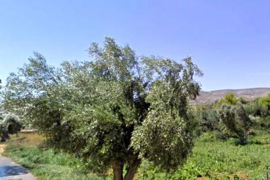 SALE OF 1370 SQM PLOT IN VARI