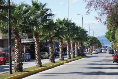 PLOT FOR SALE IN SARONIDA